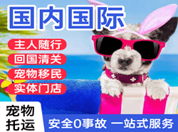 南充高坪机场快递国际宠物托运 【国